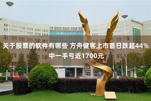 关于股票的软件有哪些 方舟健客上市首日跌超44% 中一手亏近1700元