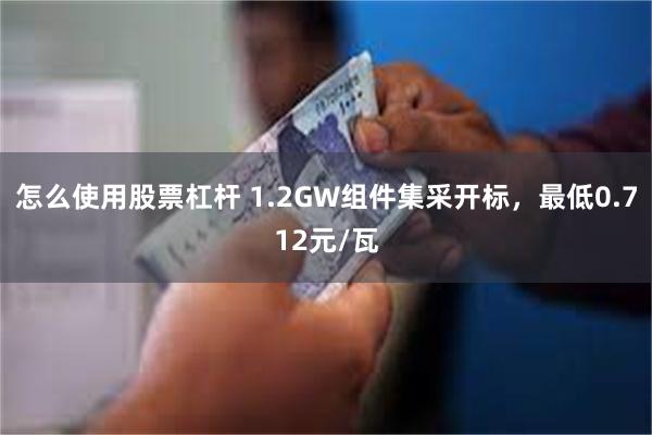 怎么使用股票杠杆 1.2GW组件集采开标，最低0.712元/瓦