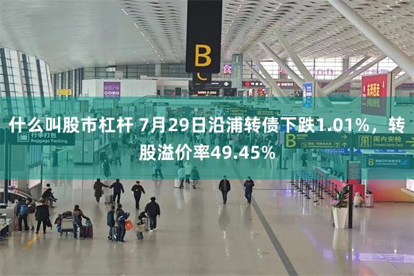 什么叫股市杠杆 7月29日沿浦转债下跌1.01%，转股溢价率49.45%