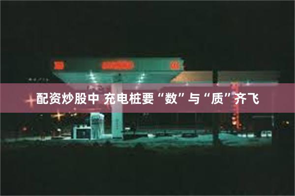 配资炒股中 充电桩要“数”与“质”齐飞