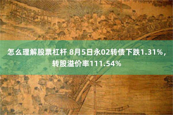 怎么理解股票杠杆 8月5日永02转债下跌1.31%，转股溢价率111.54%