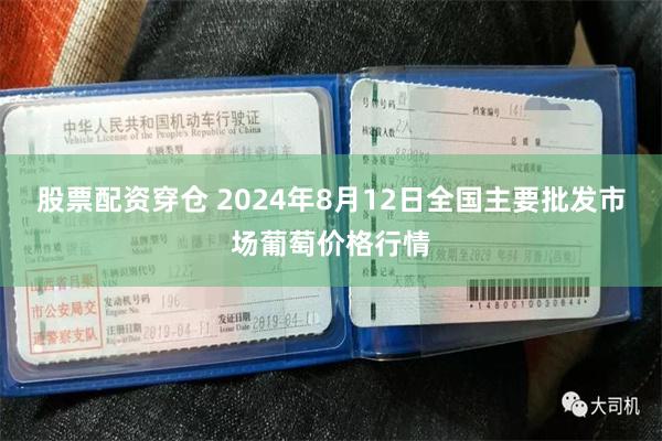 股票配资穿仓 2024年8月12日全国主要批发市场葡萄价格行情