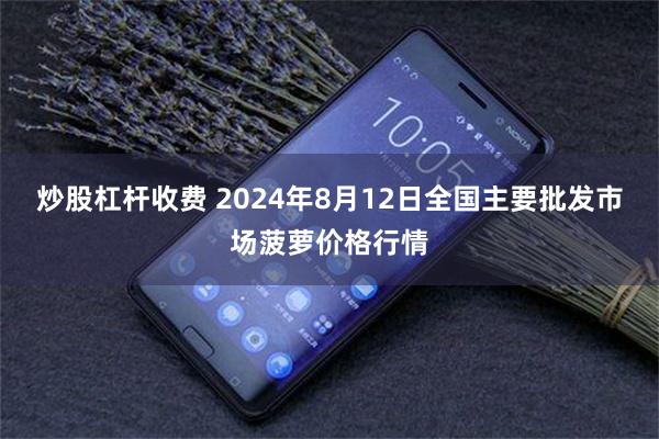 炒股杠杆收费 2024年8月12日全国主要批发市场菠萝价格行情