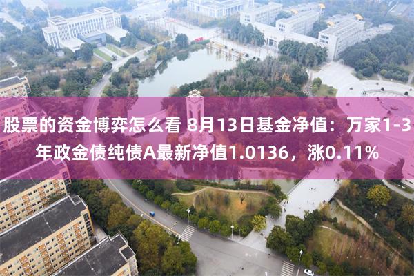 股票的资金博弈怎么看 8月13日基金净值：万家1-3年政金债纯债A最新净值1.0136，涨0.11%