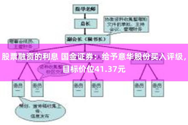 股票融资的利息 国金证券：给予意华股份买入评级，目标价位41.37元