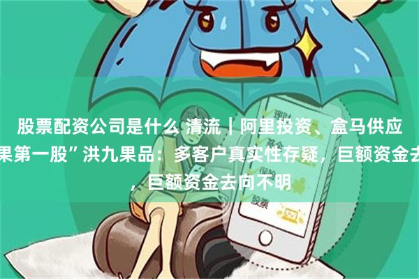 股票配资公司是什么 清流｜阿里投资、盒马供应商 “水果第一股”洪九果品：多客户真实性存疑，巨额资金去向不明