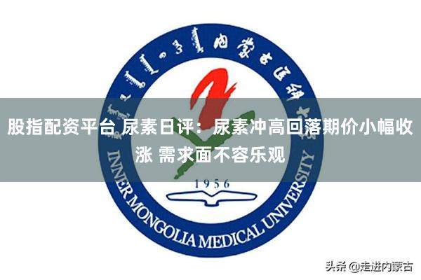 股指配资平台 尿素日评：尿素冲高回落期价小幅收涨 需求面不容乐观