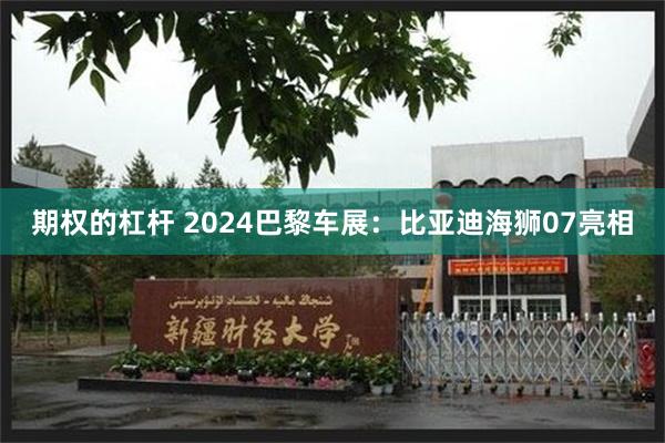 期权的杠杆 2024巴黎车展：比亚迪海狮07亮相