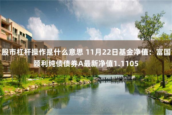 股市杠杆操作是什么意思 11月22日基金净值：富国颐利纯债债券A最新净值1.1105