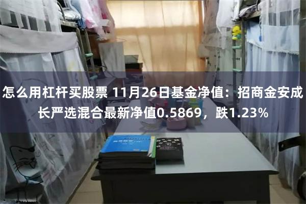 怎么用杠杆买股票 11月26日基金净值：招商金安成长严选混合最新净值0.5869，跌1.23%