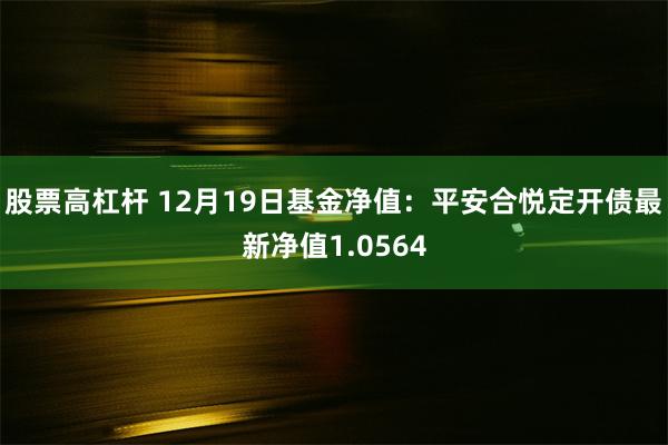 股票高杠杆 12月19日基金净值：平安合悦定开债最新净值1.0564